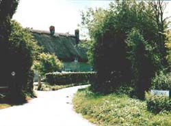 ecard: cueslane.jpg - click to enlarge
