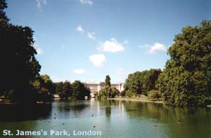 ecard: park1.jpg - click to enlarge