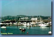 Torquay Harbour