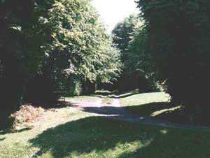 ecard: wyndingwood.jpg - click to enlarge