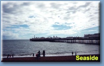 English Seaside postcards